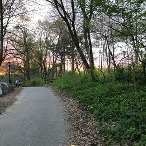 Meet your Posher, Eileen